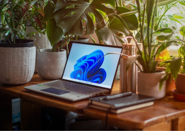Ordinateur Windows sur bureau avec plantes