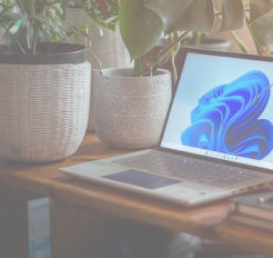 Photo ordinateur portable sur bureau avec plantes