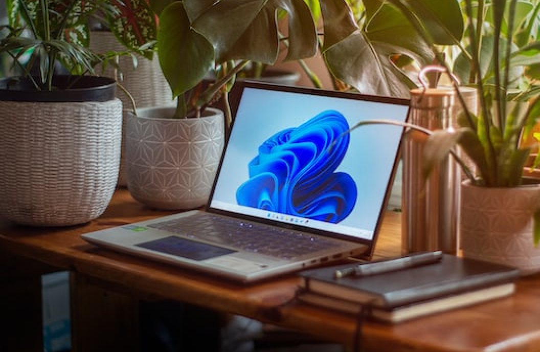 Ordinateur windows sur bureau avec plantes